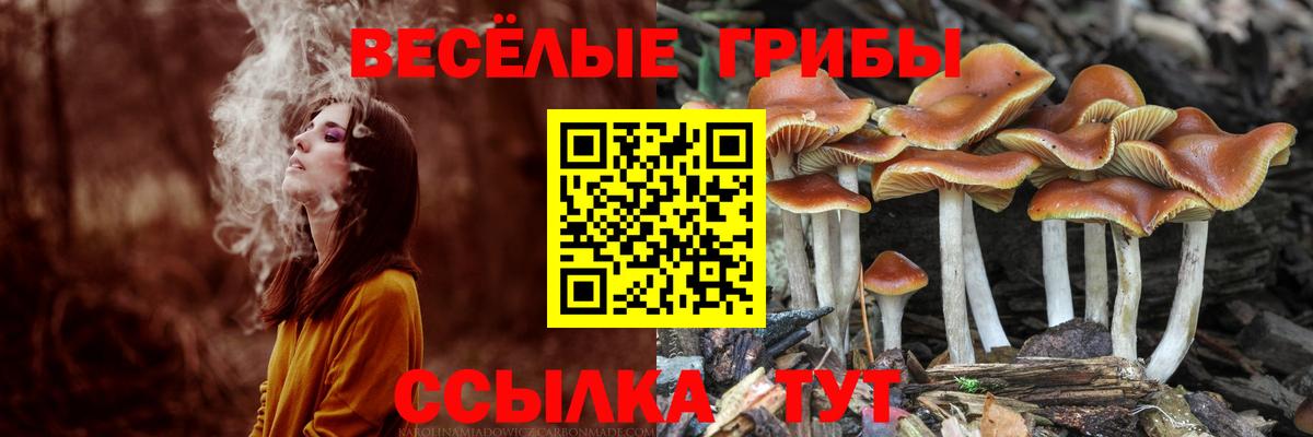 Псилоцибиновые грибы Cubensis  Галлюциногенные грибы GOLDEN TEACHER  Абакан  Вход с VPN 